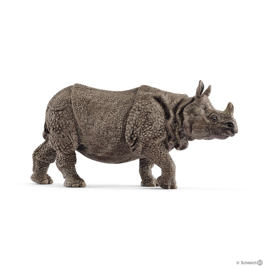 Rinoceronte Indiano 14816